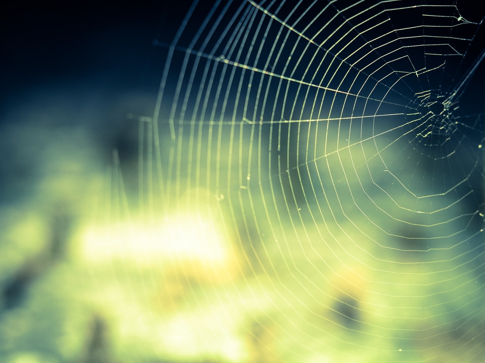 link acquisition networks
