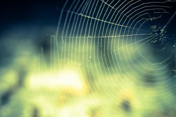 link acquisition networks