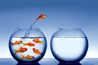 Search Leeds: Five Things That Can Go Wrong with a Site Migration, by Jon Earnshaw