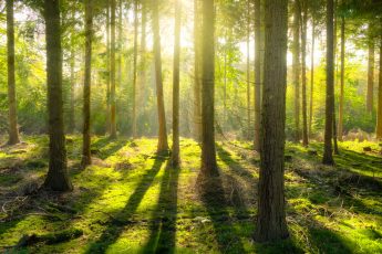 Impression Wins Gold Prize in Microsoft ‘Get to Green’ Contest