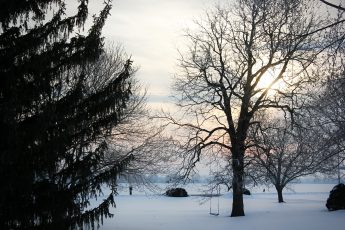 Google’s January Updates & Search Industry News