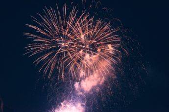 Search Industry & Google Updates In July 2020