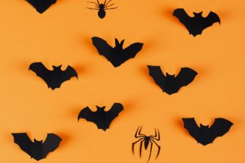 Digital PR Horror Stories: How to avoid getting it wrong by focusing on success over failure