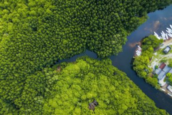 Impression becomes carbon negative 🌱