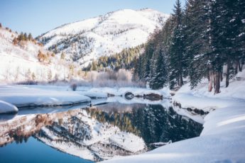 November & December Google Algorithm Updates 2020/2021